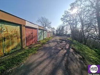 20250328-082856.jpg