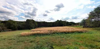 fotografie