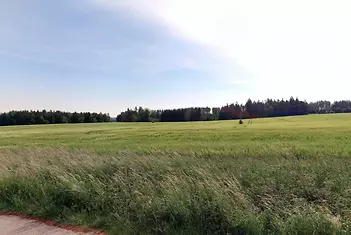 fotografie