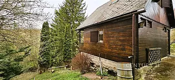 Dřevěná chata na okraji lesa s dřevěným obkladem a kamenným základem, obklopená zelení a vzrostlými stromy, ideální pro rekreaci v přírodě