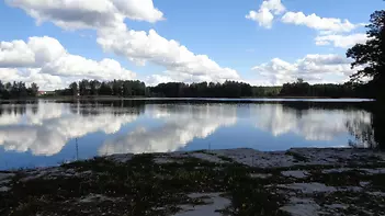 fotografie