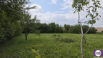 mvimg-20250716-115333.jpg