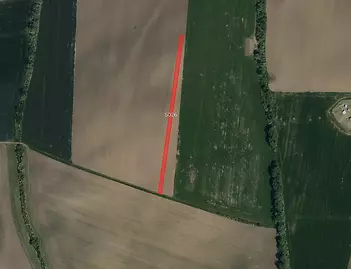 fotografie