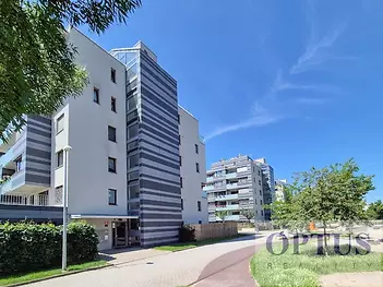 house-summerb.jpg