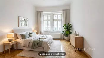 Vizualizace