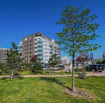 2025-12-17_101736