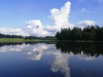 fotografie